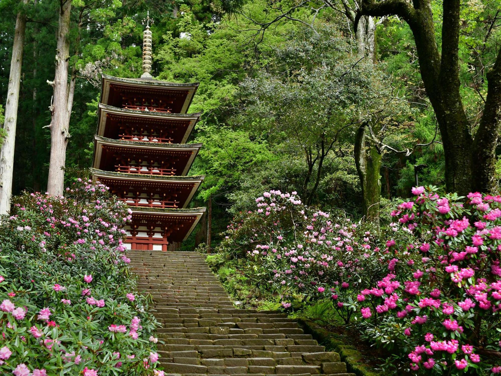Grand Mercure Nara Kashihara Kashihara  Exterior foto